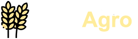 Acasa