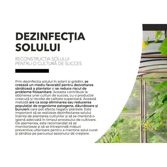 Captură_de_ecran_din_2023-06-30_la_14.07.49.png